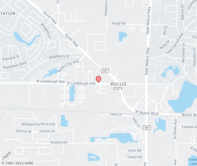 Location Map: 4104 W. Linebaugh Ave. Tampa, FL 33624